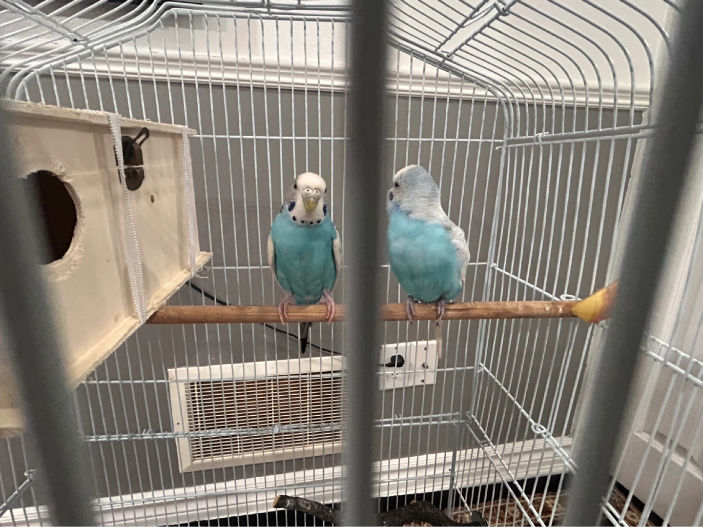 White Metal Bird Cage with Nesting Box - photo 2