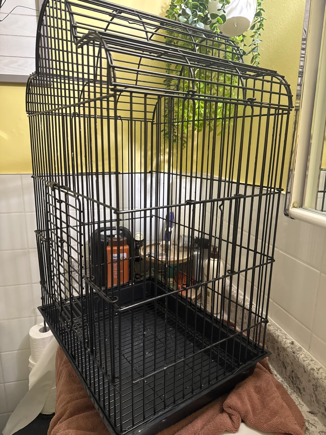 Black Bird Cage - photo 2