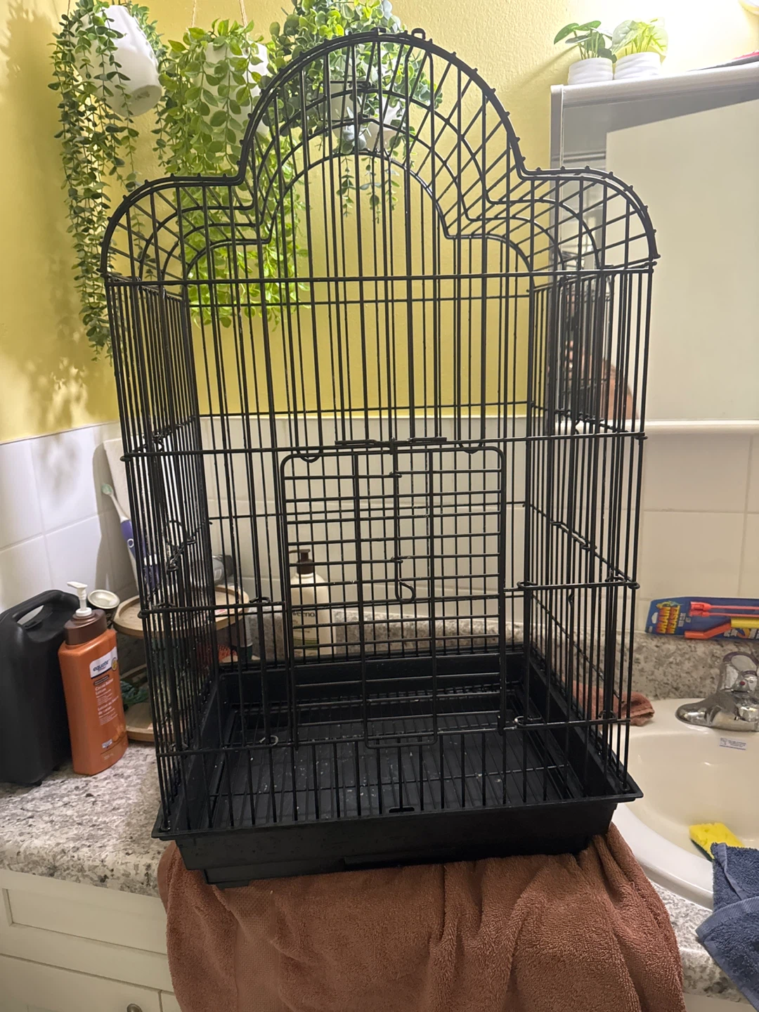 Black Bird Cage - photo 4