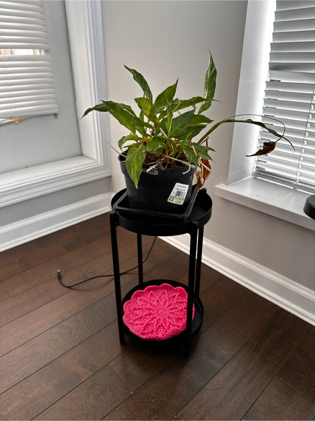 IKEA OLIVBLAD Plant Stand Black - photo 3