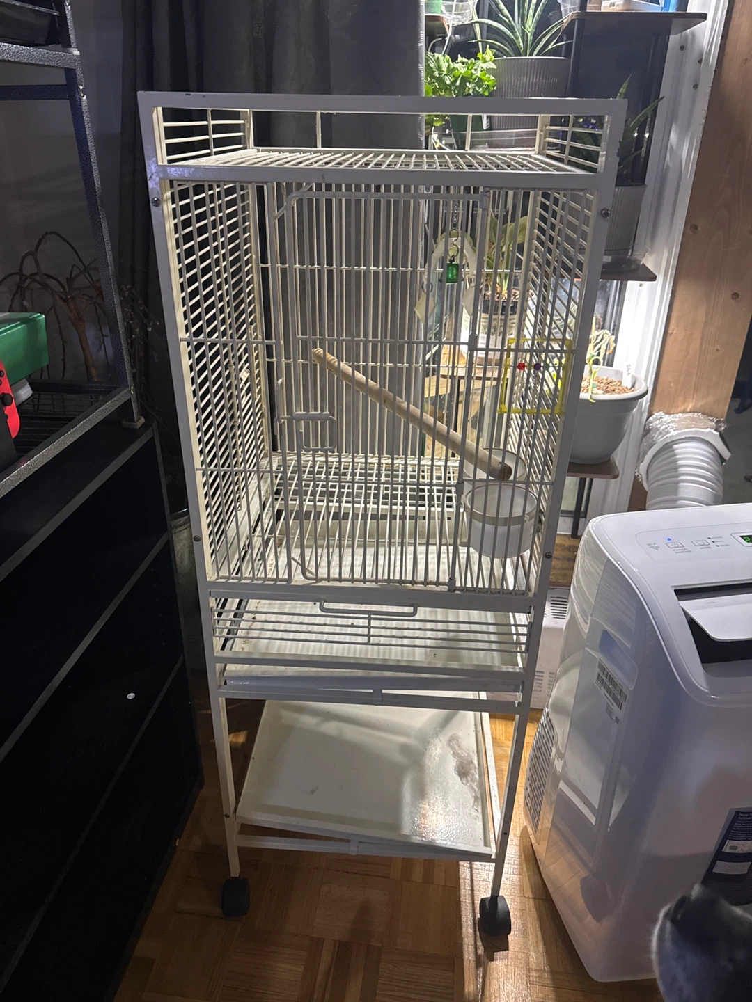 White Bird Cage with Perch and Feeders