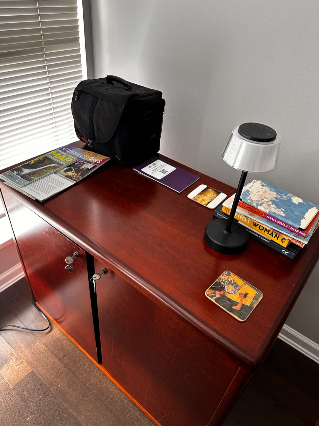 Dark Wood Storage Cabinet with Locks