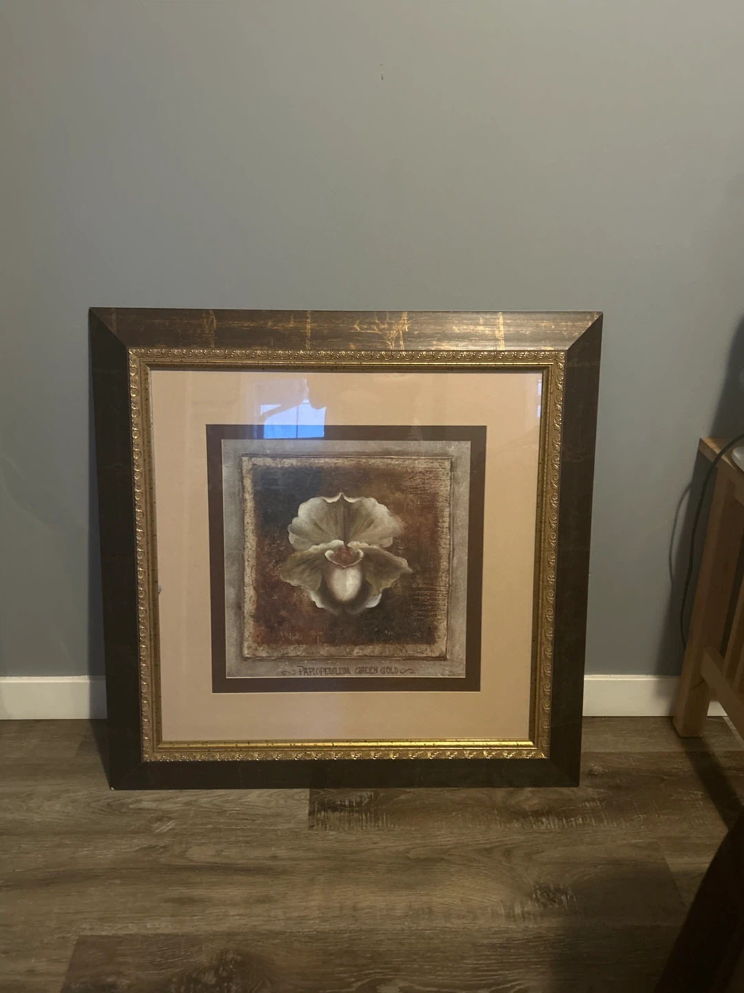 Framed Paphiopedilum Green Gold Floral Art