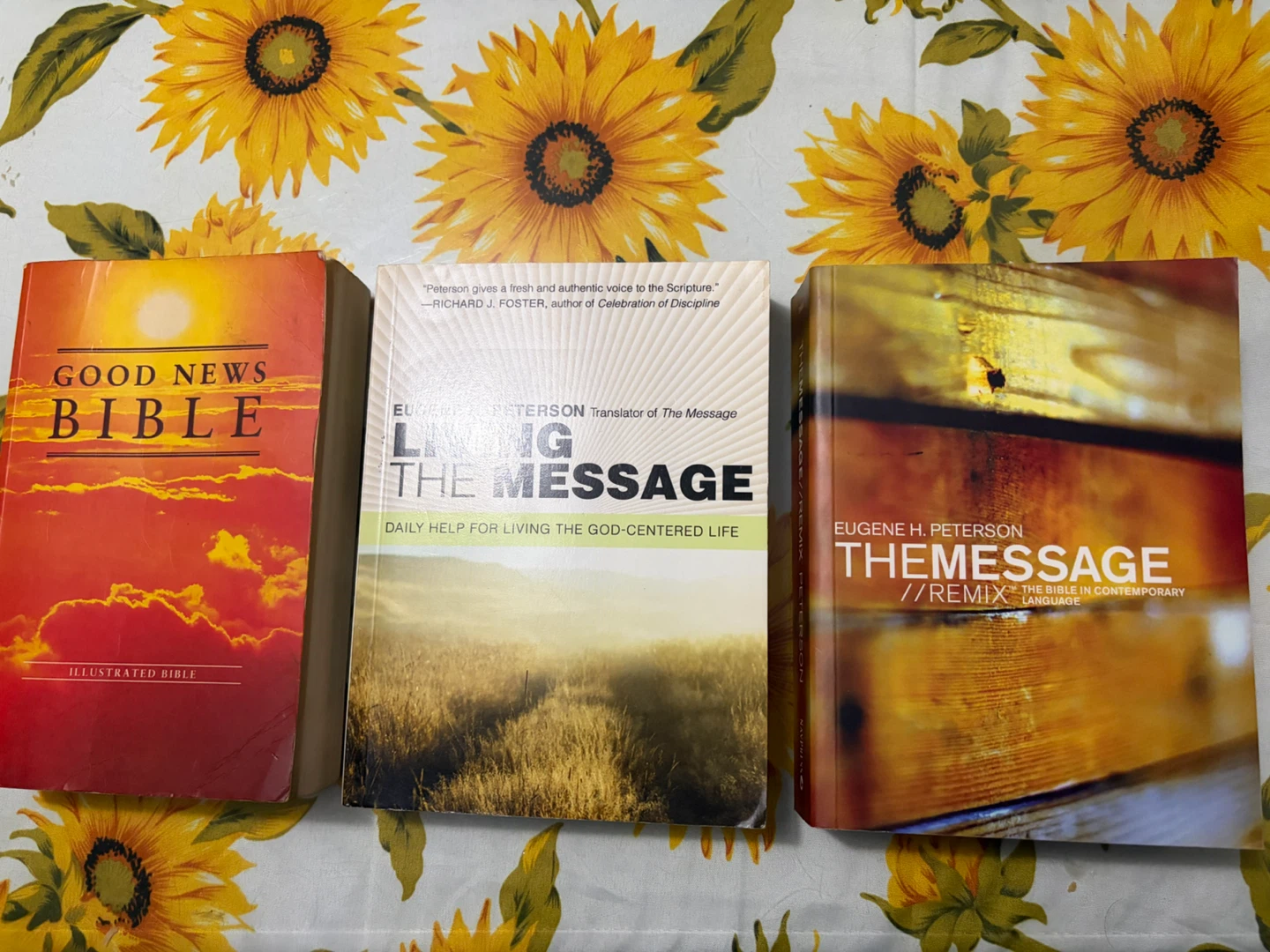 Lot of Bibles