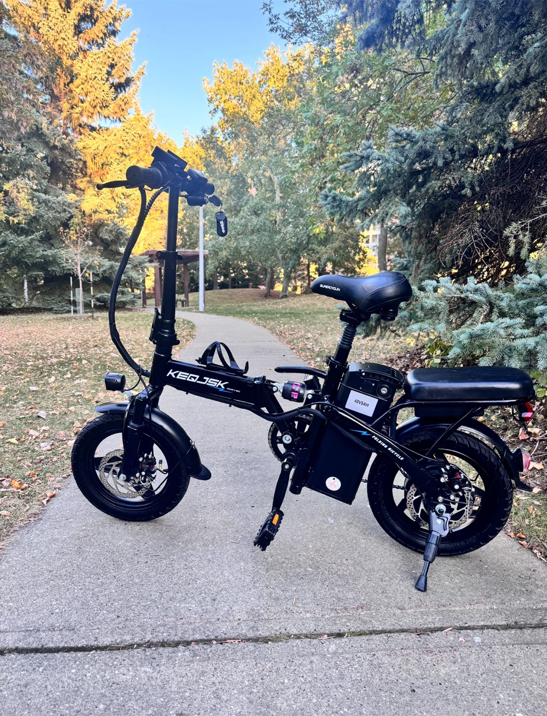 Electric Bike - photo 2