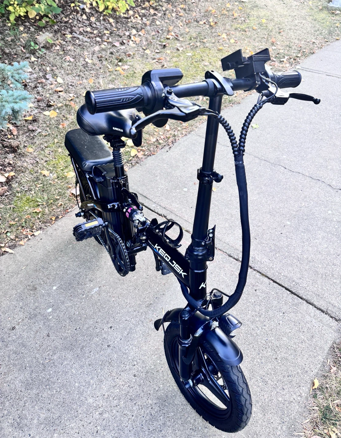 Electric Bike - photo 3