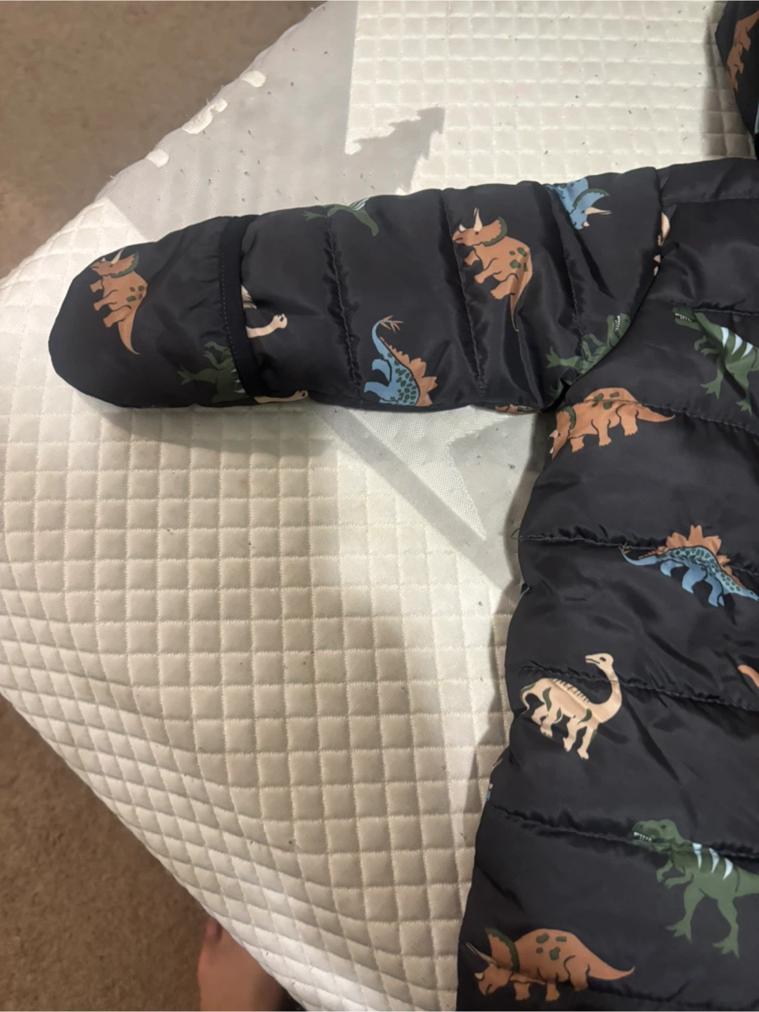 Baby Dinosaur Print Winter Snowsuit