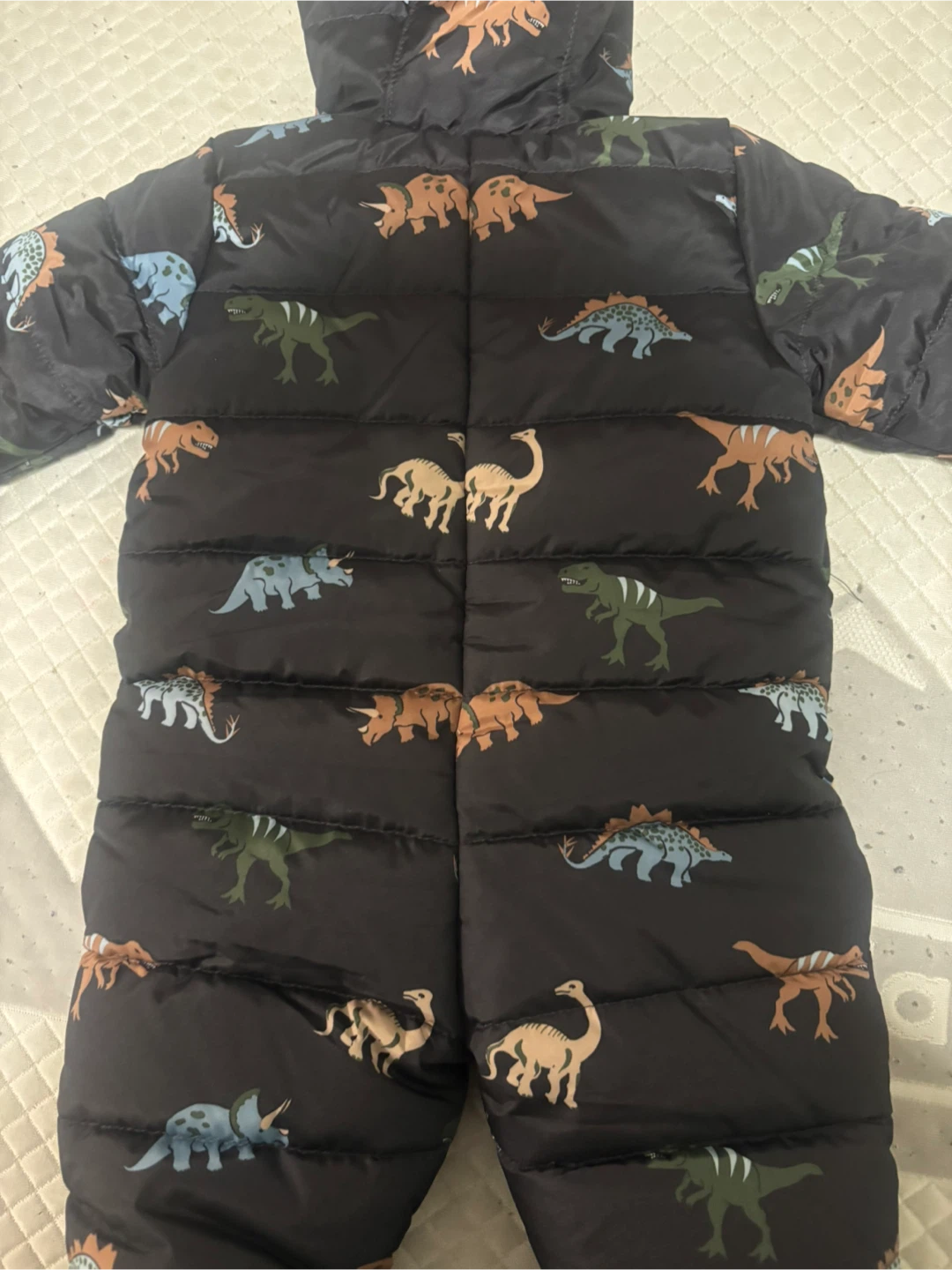 Baby Dinosaur Print Winter Snowsuit - photo 3