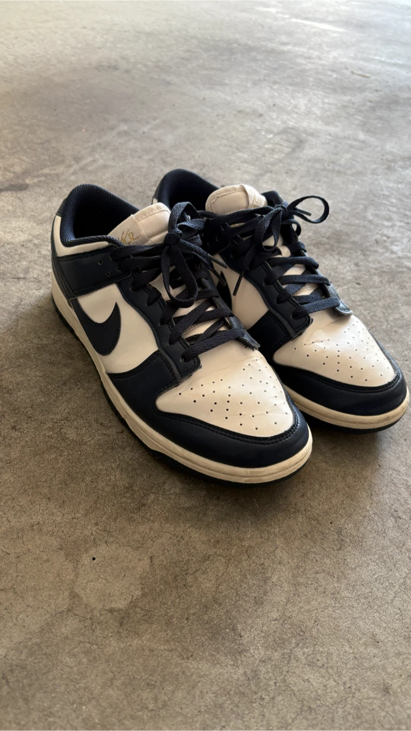 Navy Nike Dunk Lows