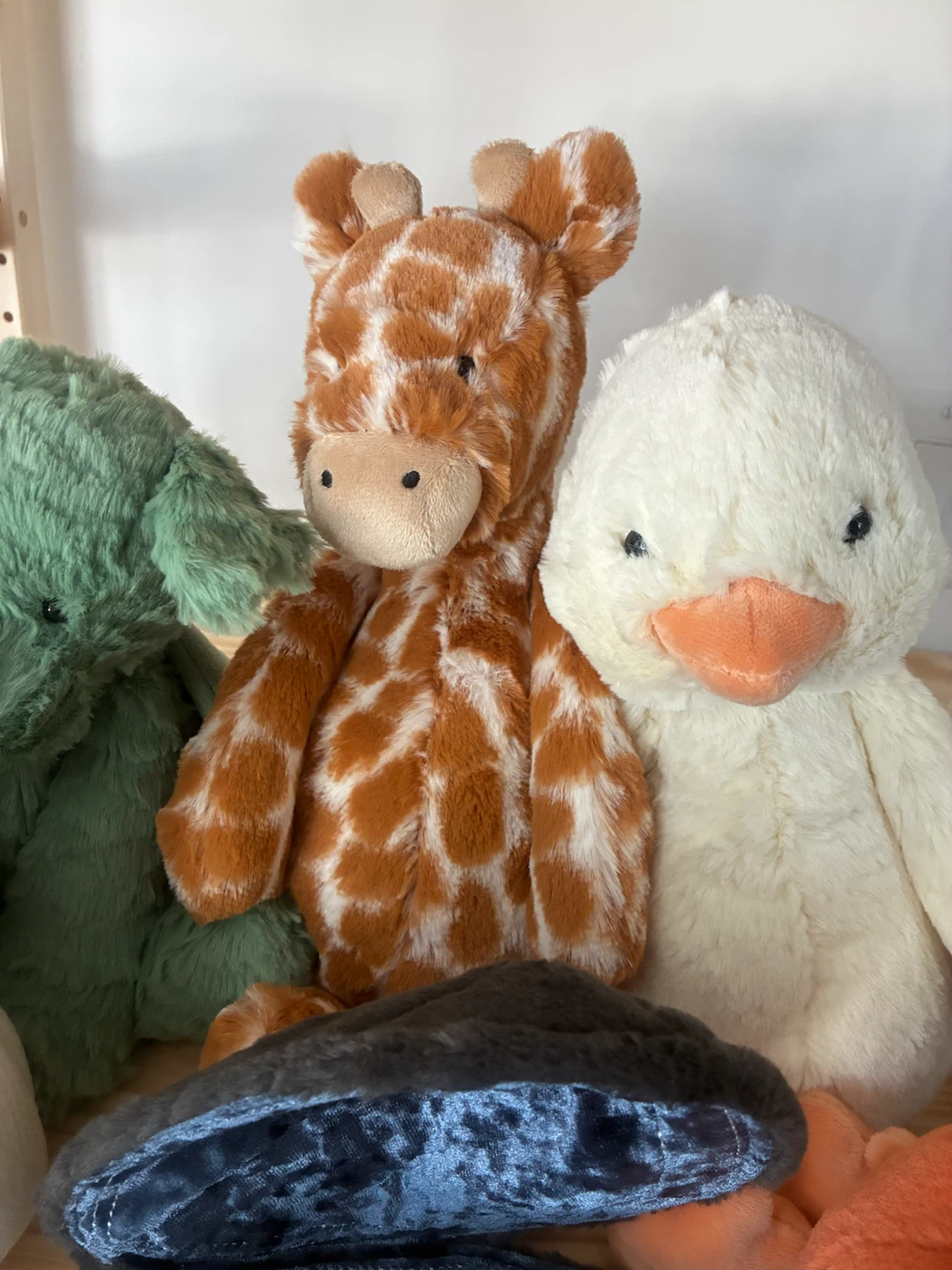 Bashful Giraffe retired.