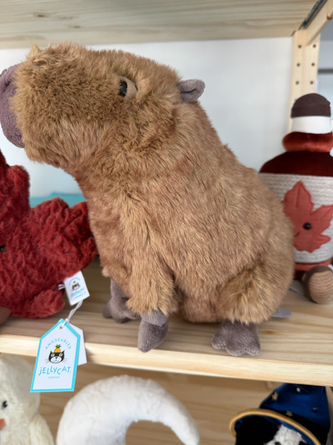 Jellycat Capybara BNWT