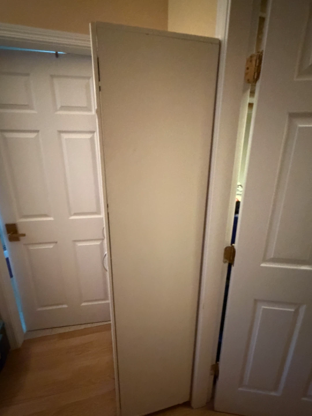 Narrow White Tall Storage Cabinet - photo 4