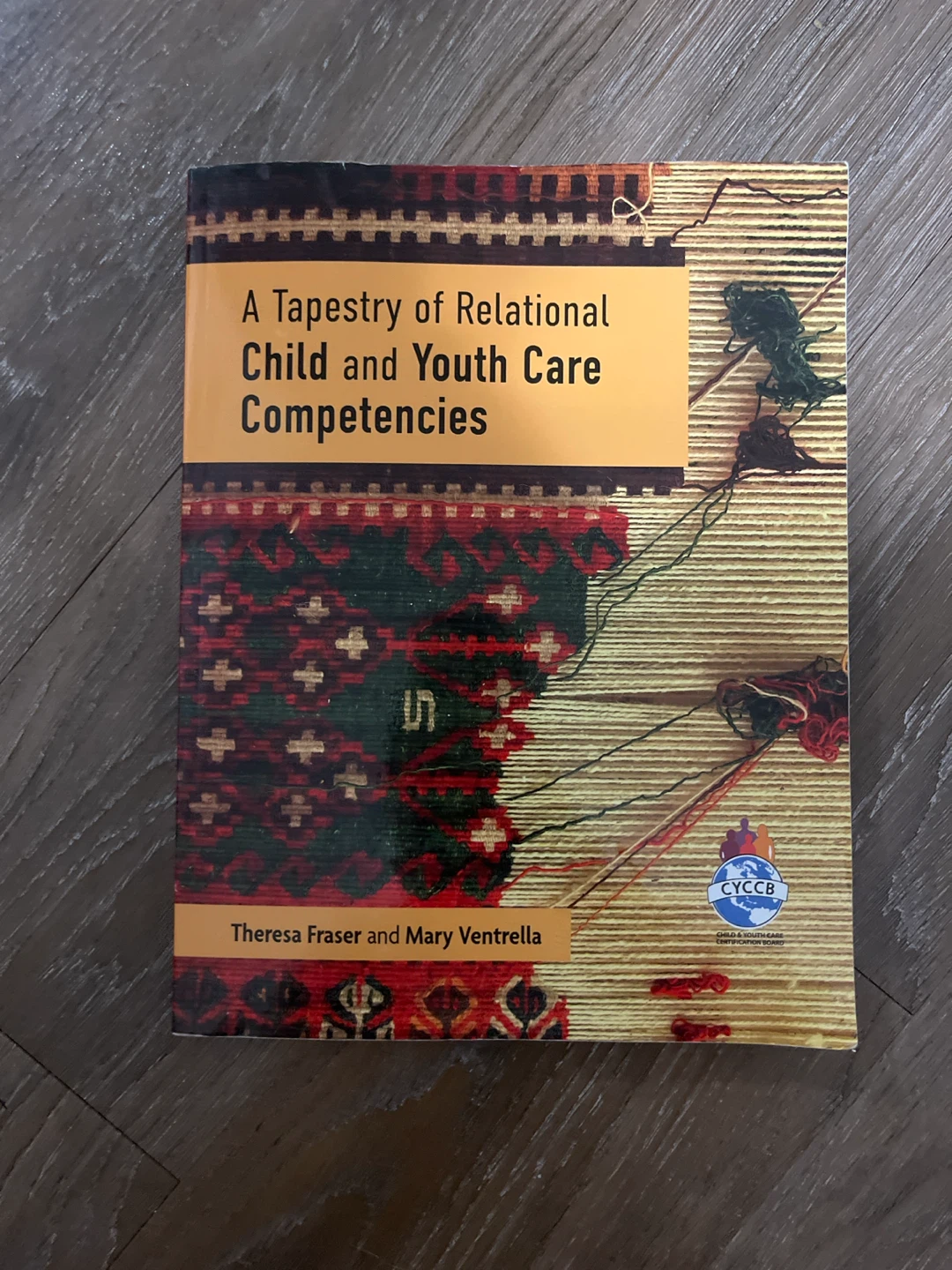 Two Textbooks: Child and Youth Care & Human Services Policy - photo 2