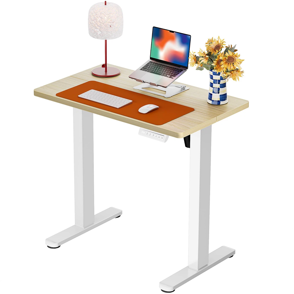 ErGear Electric Standing Desk