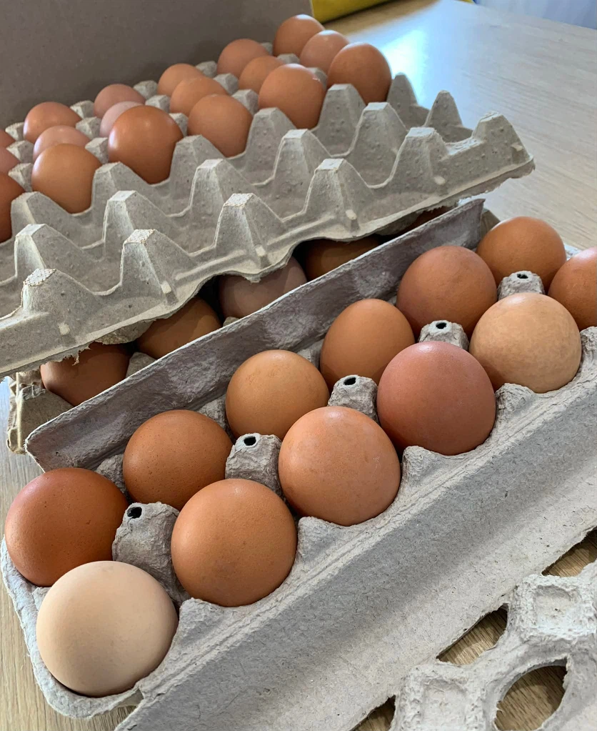 Brown eggs . Fresh from the FARM. - photo 2