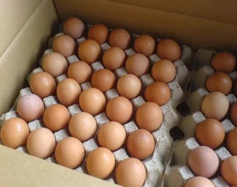 Brown eggs . Fresh from the FARM. - photo 3
