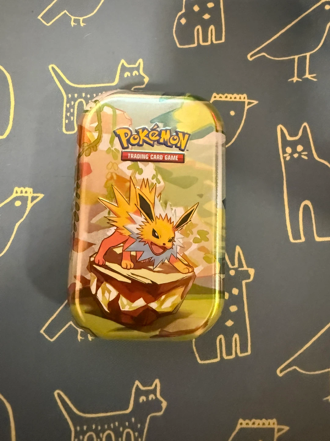 Pokemon Trading Card Tin