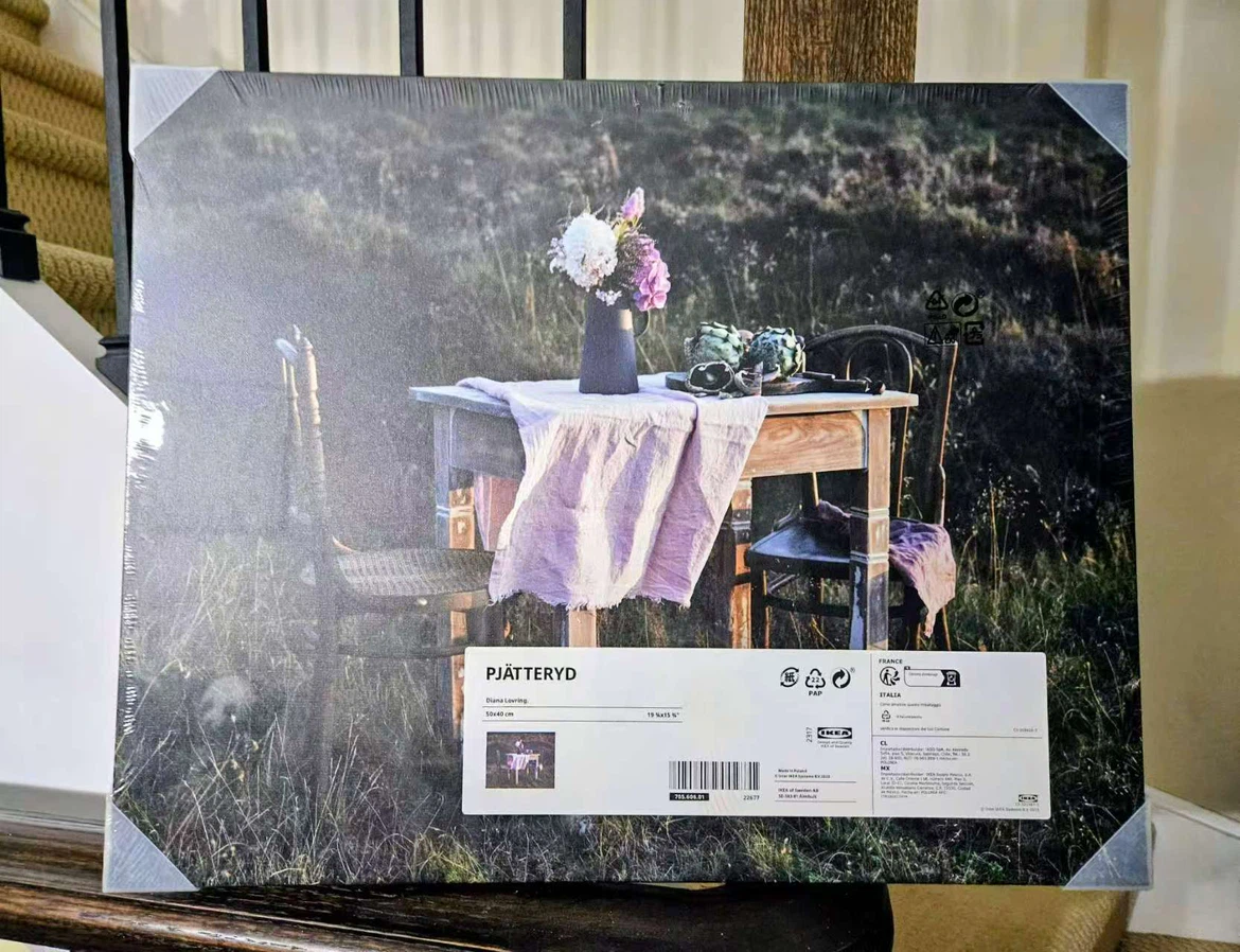 IKEA PJÄTTERYD Wall Art - NEED TO SELL EVERYTHING