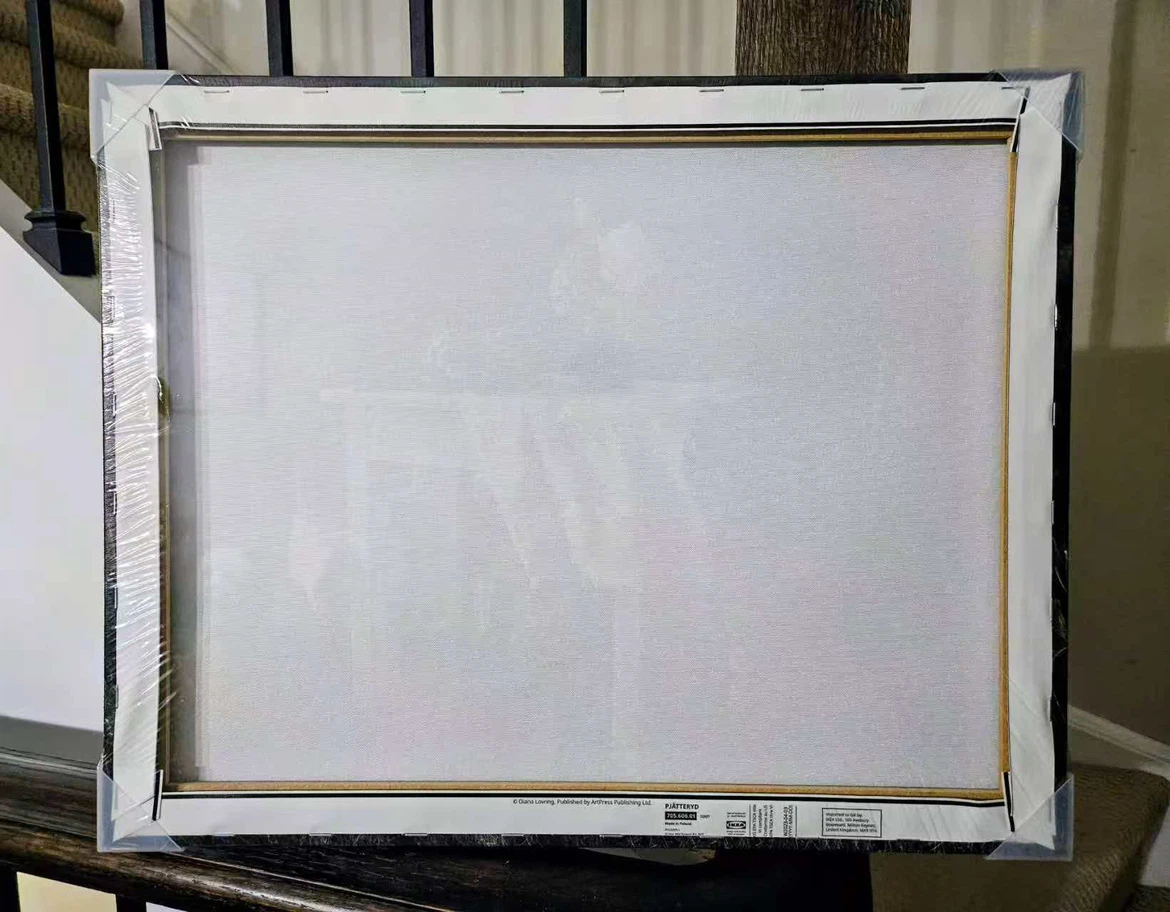 IKEA PJÄTTERYD Wall Art - NEED TO SELL EVERYTHING - photo 2
