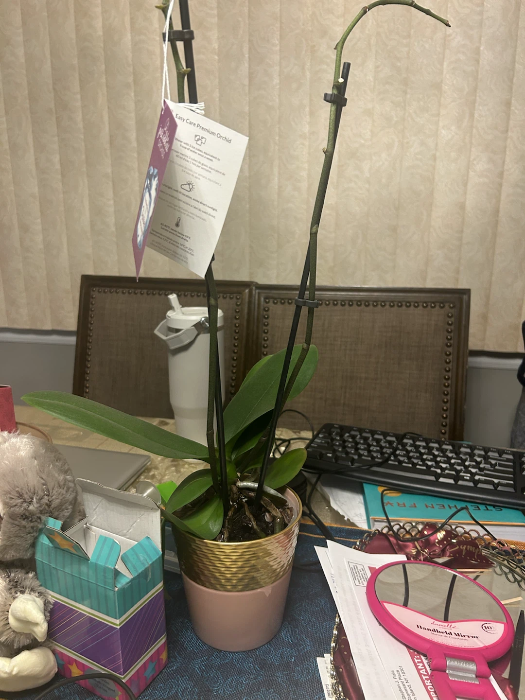 Easy Care Premium Orchid