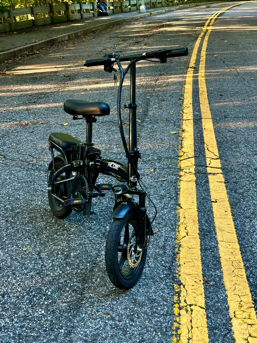 HLONE Folding Electric Bike