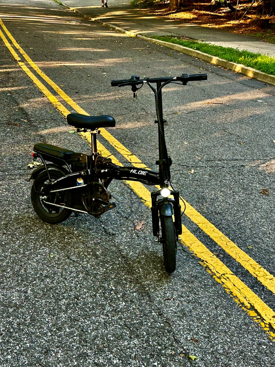 HLONE Folding Electric Bike - photo 3