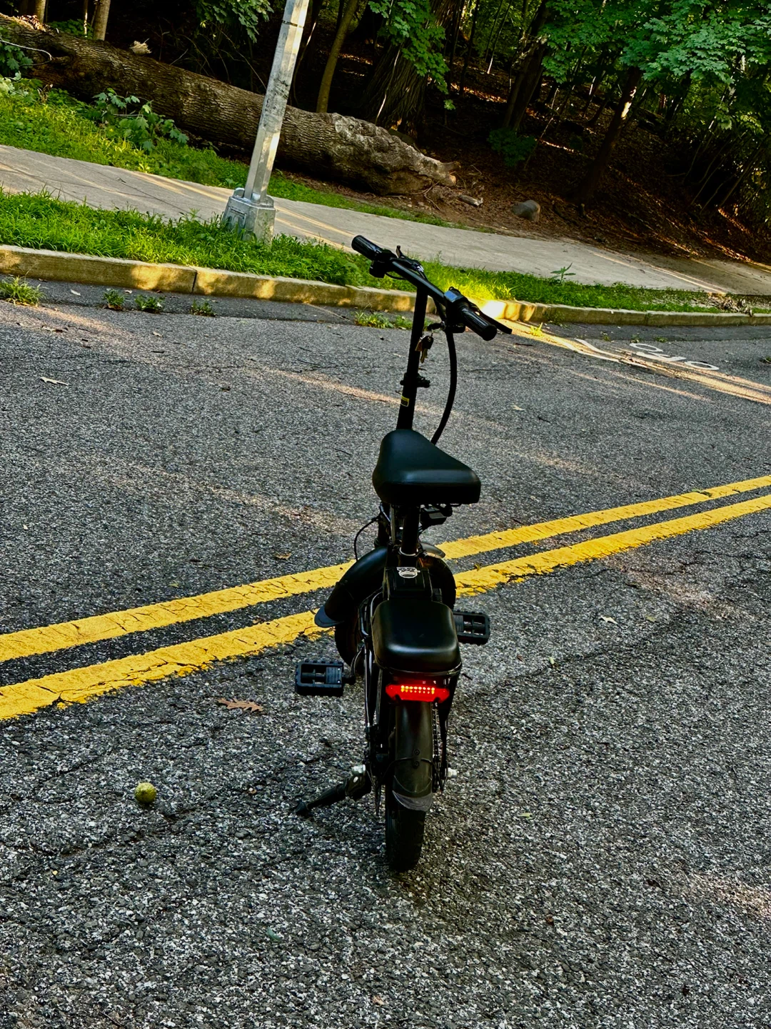 HLONE Folding Electric Bike - photo 4