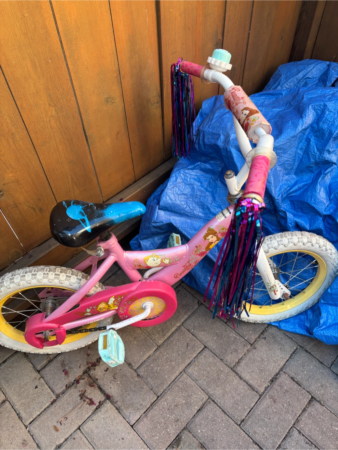 Two Kids' Bicycles