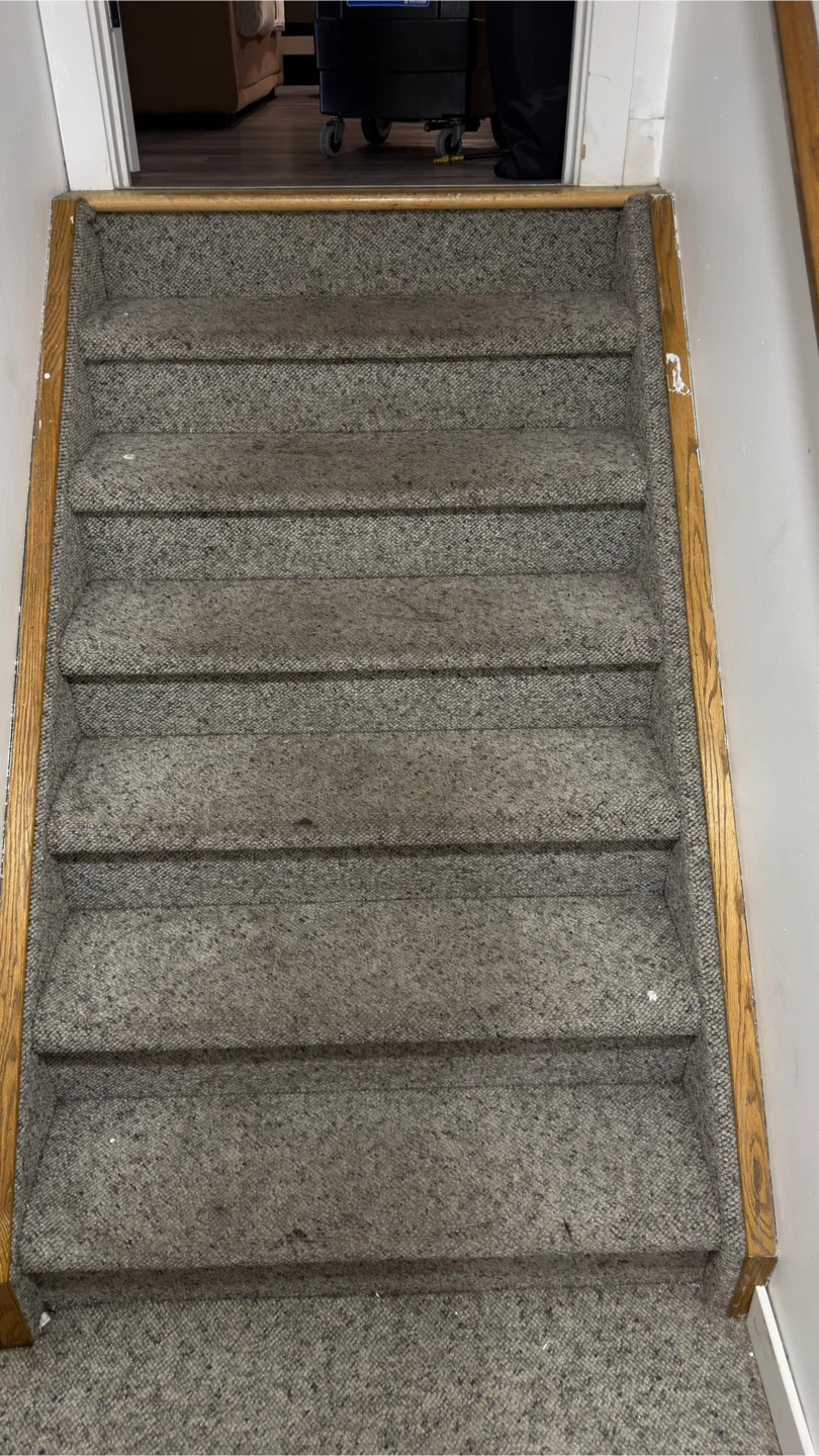 Carpet Cleaning Service