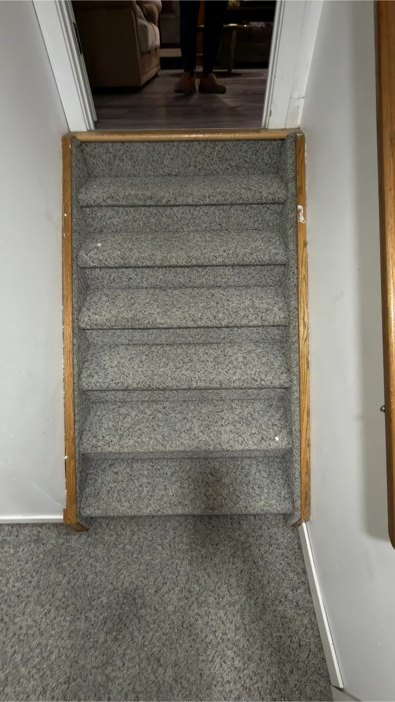 Carpet Cleaning Service - photo 2