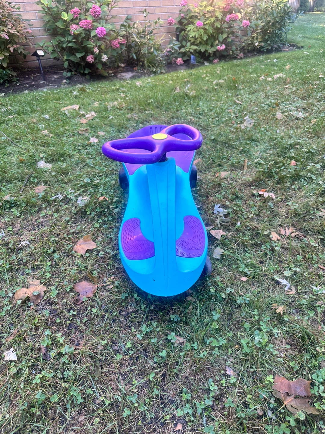 PlasmaCar Swing Car - Blue and Purple - photo 3