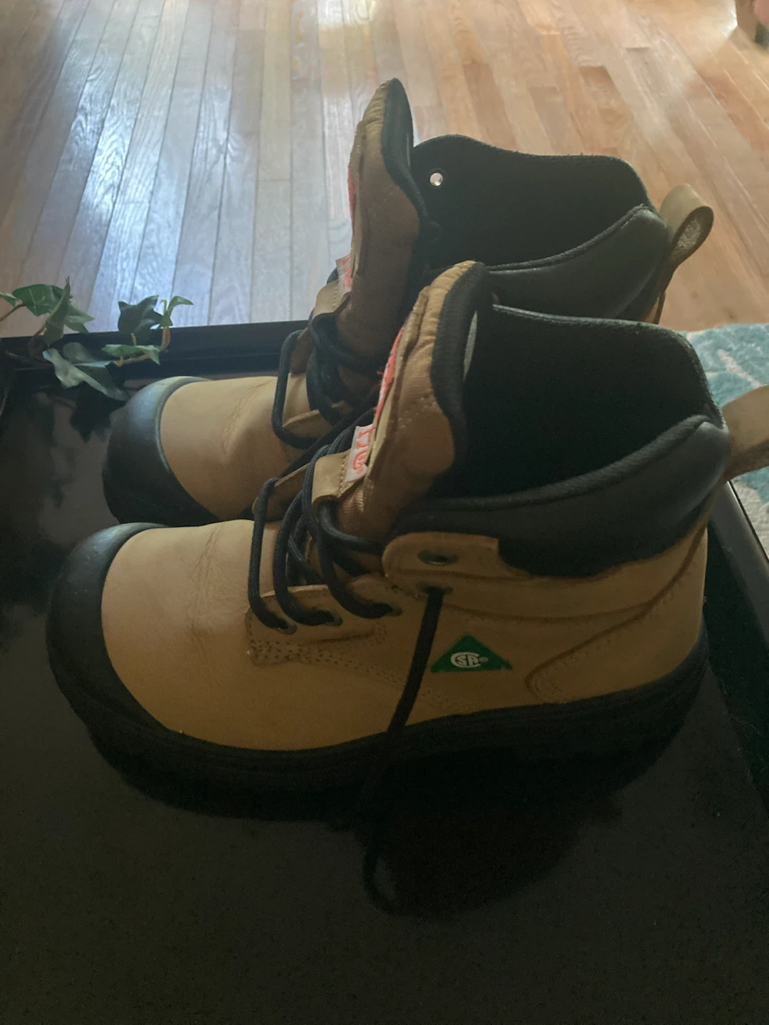 Aggressor Dakota-2 Work Boots Women’s 7.5