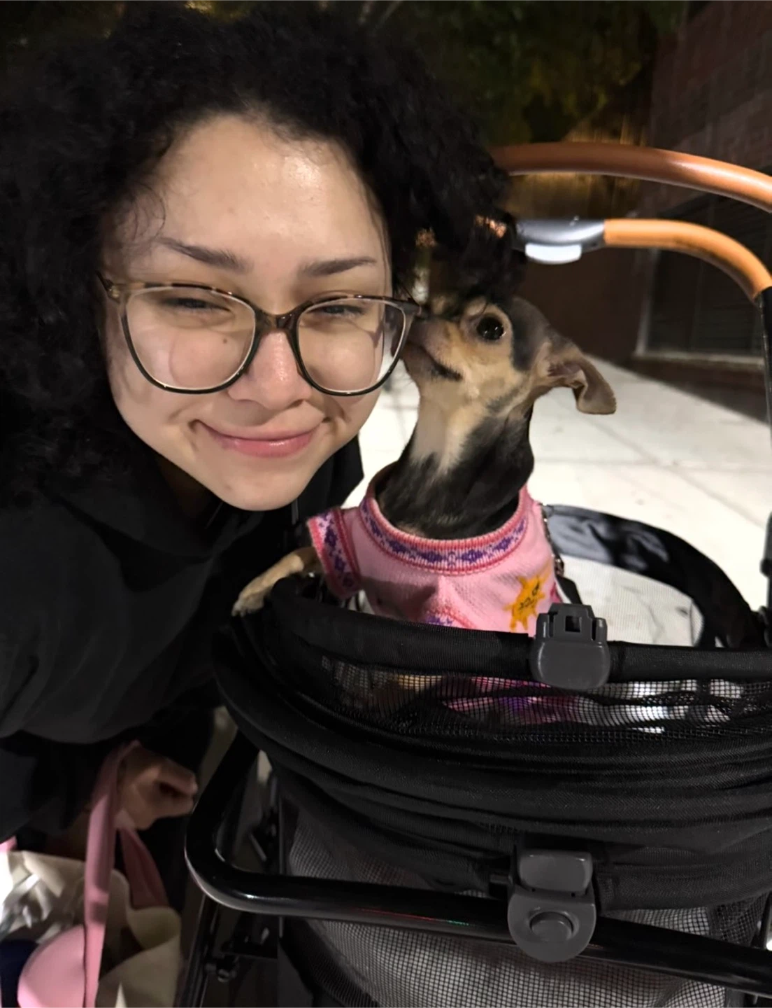 Pet Gear Pet Stroller - photo 2
