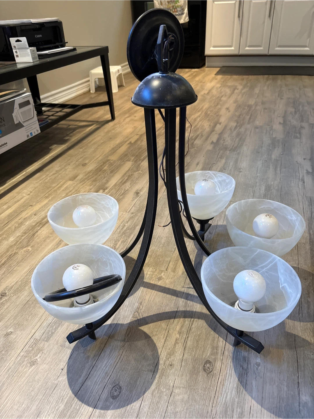 5-Light Black Chandelier with Frosted Glass Shades