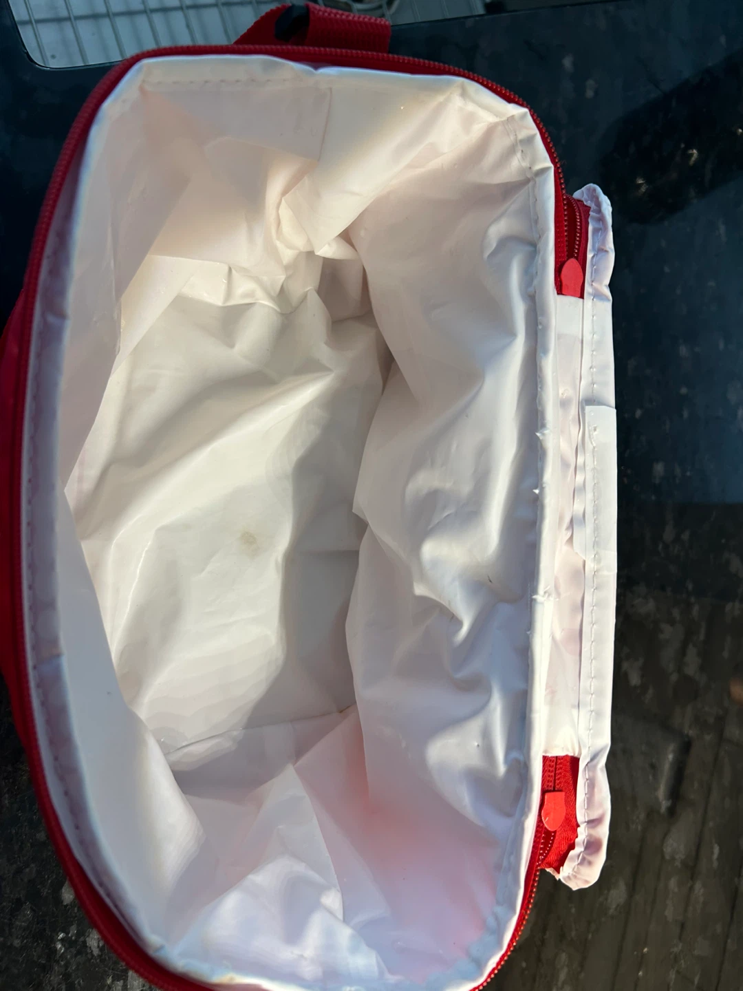 Molson Canadian Insulated Cooler Bag - photo 4