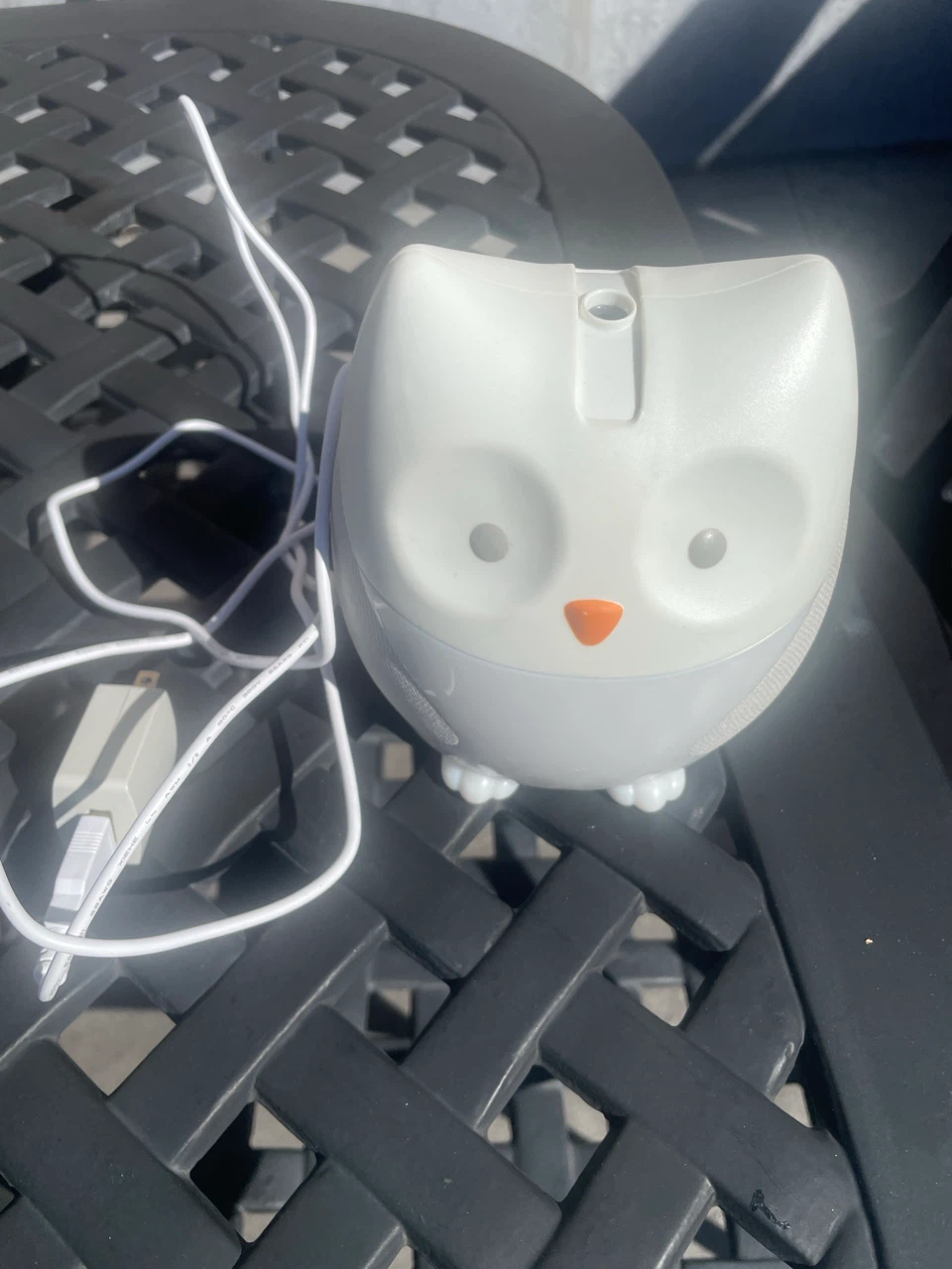 Baby sound owl