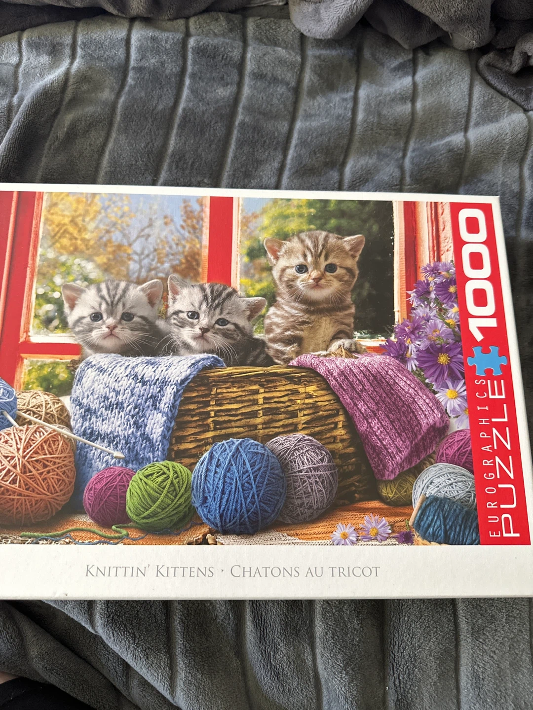 1000 Piece Puzzle