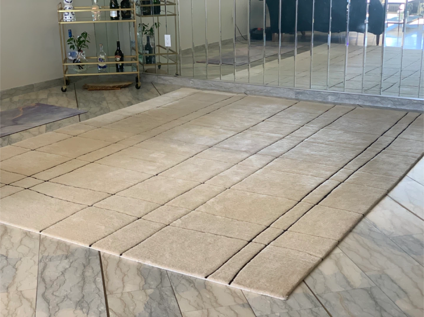 Beige Area Rug with Black Lines