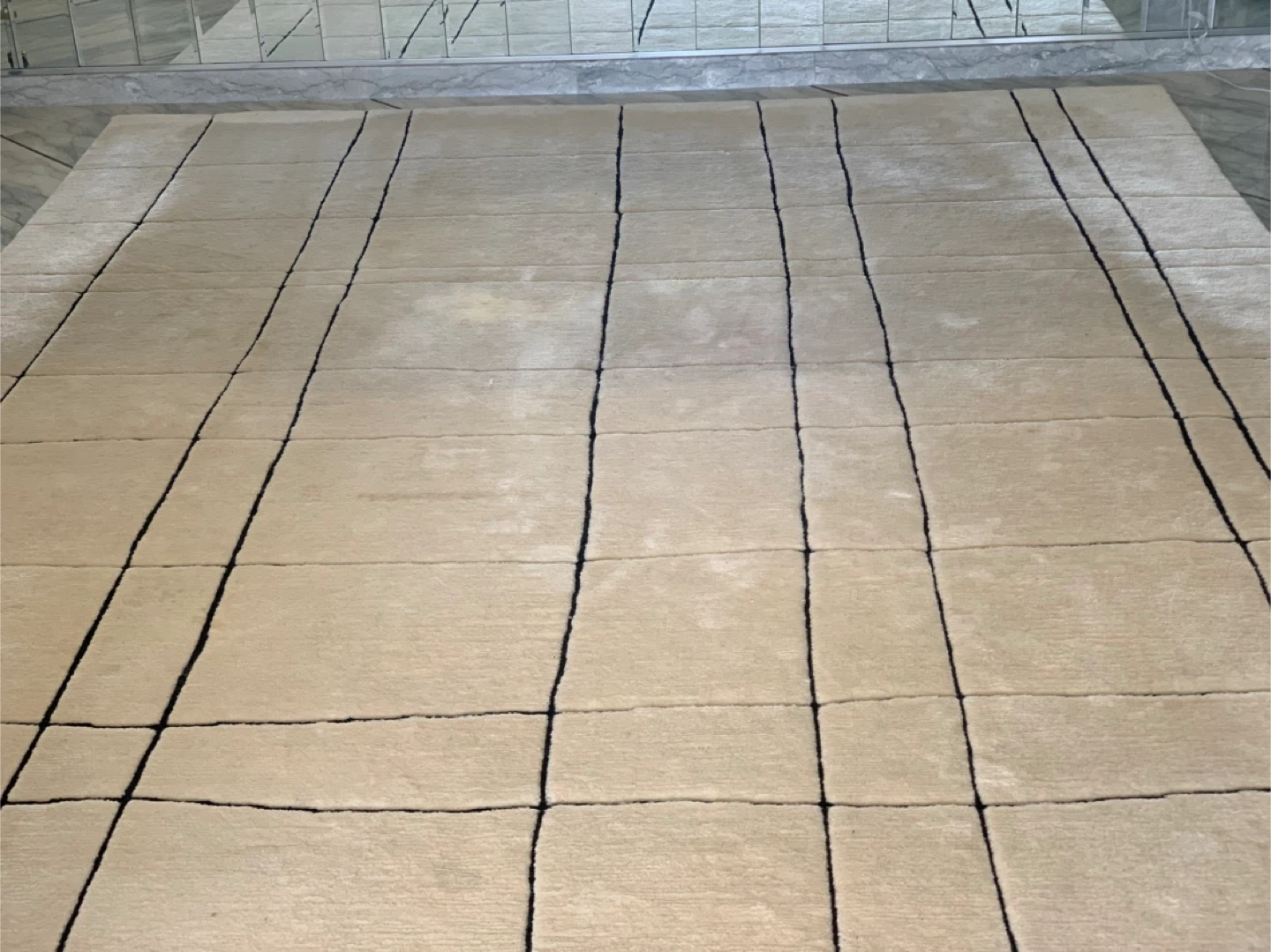 Beige Area Rug with Black Lines - photo 2