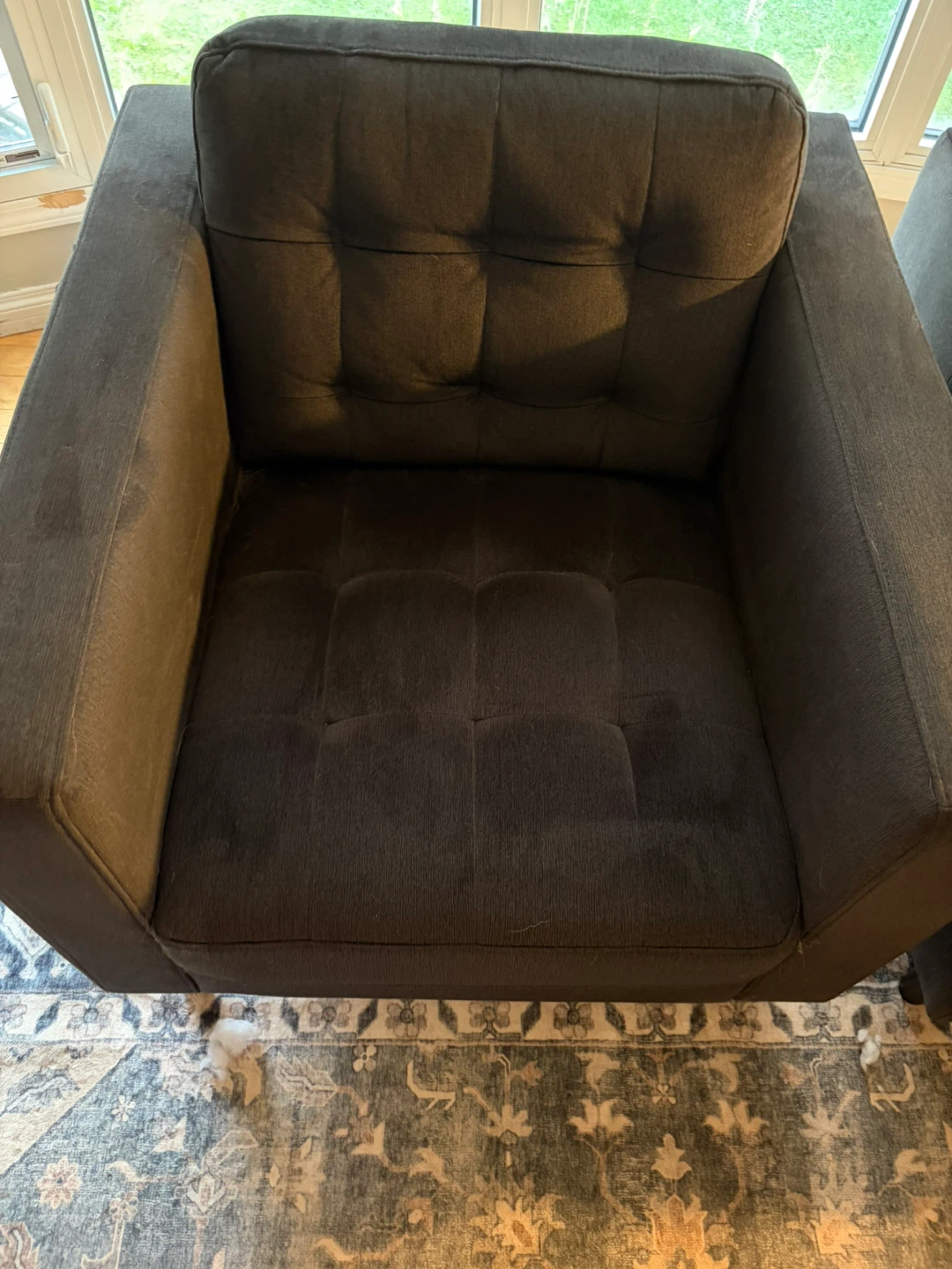 Pair of accent chairs