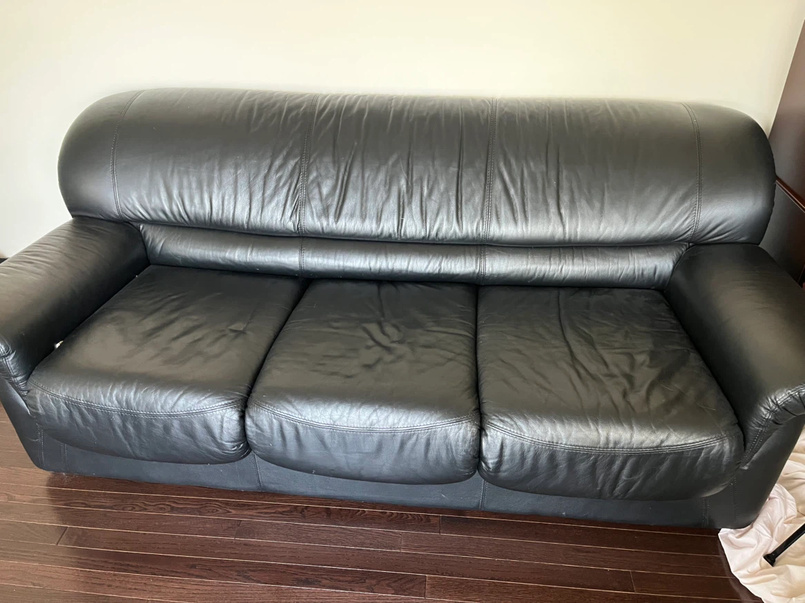 Black Leather Sofa Bed