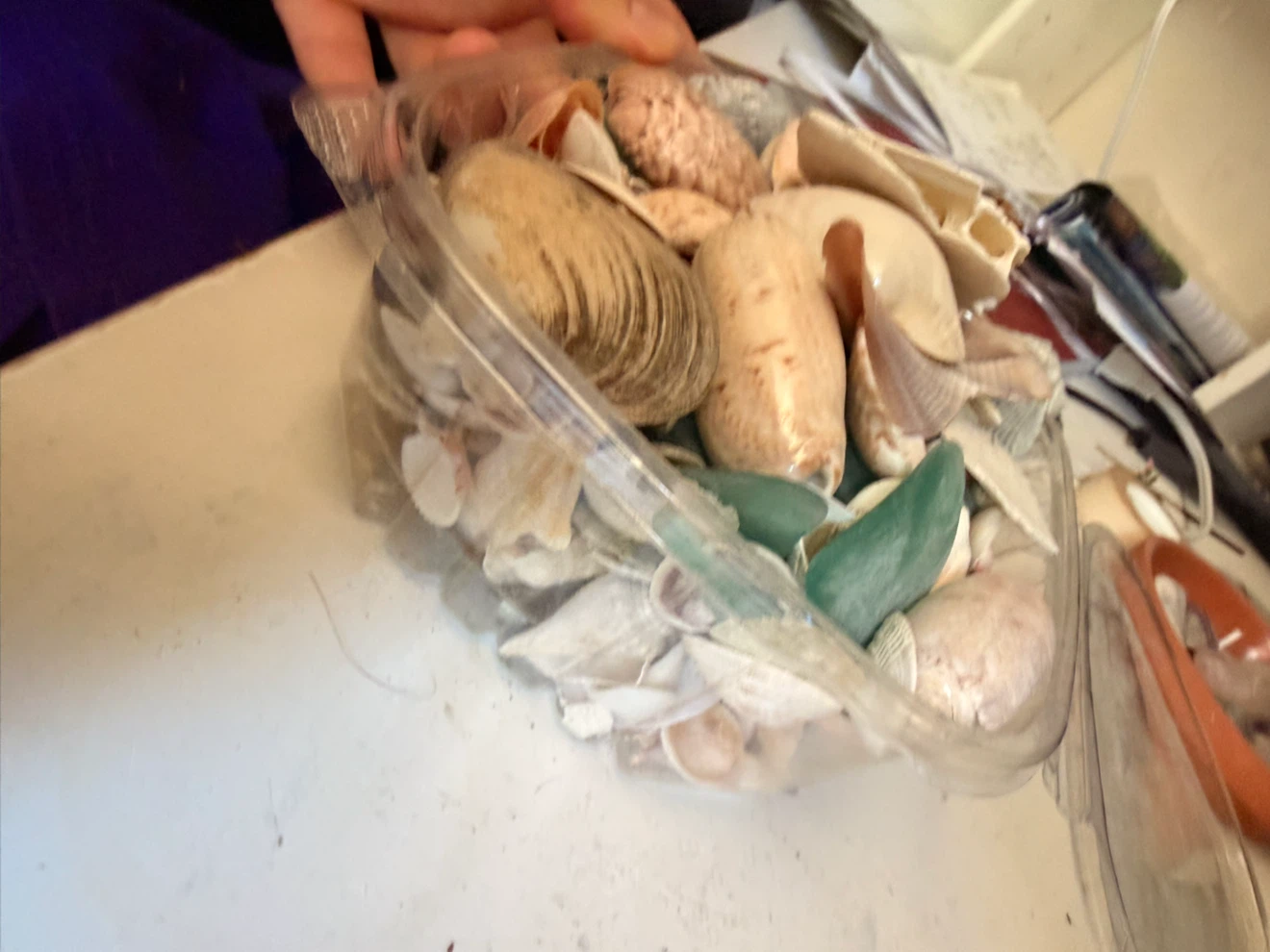 Assorted Seashells and Sea Glass Container - photo 2