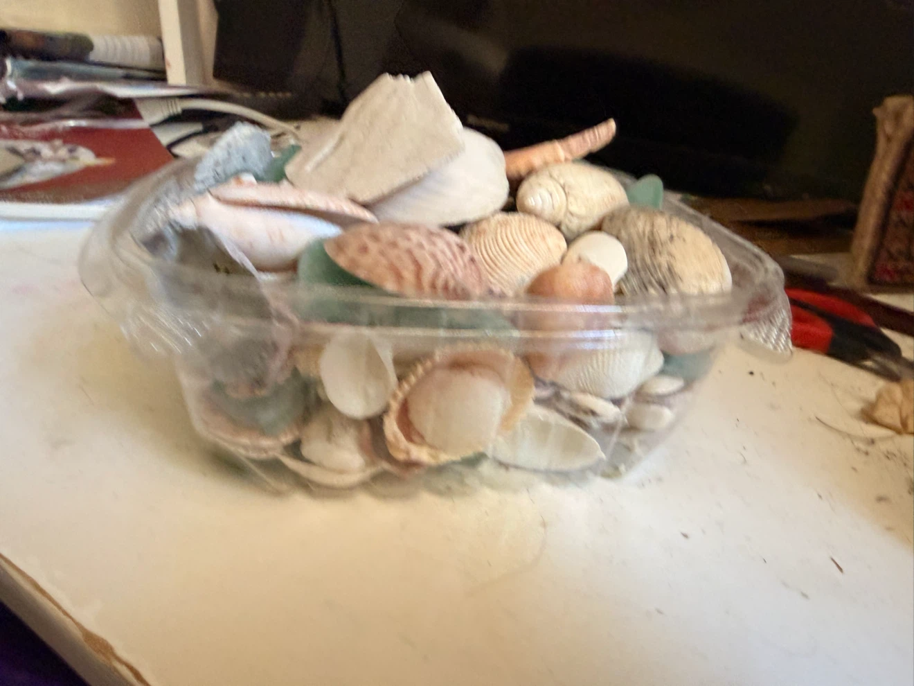 Assorted Seashells and Sea Glass Container - photo 3