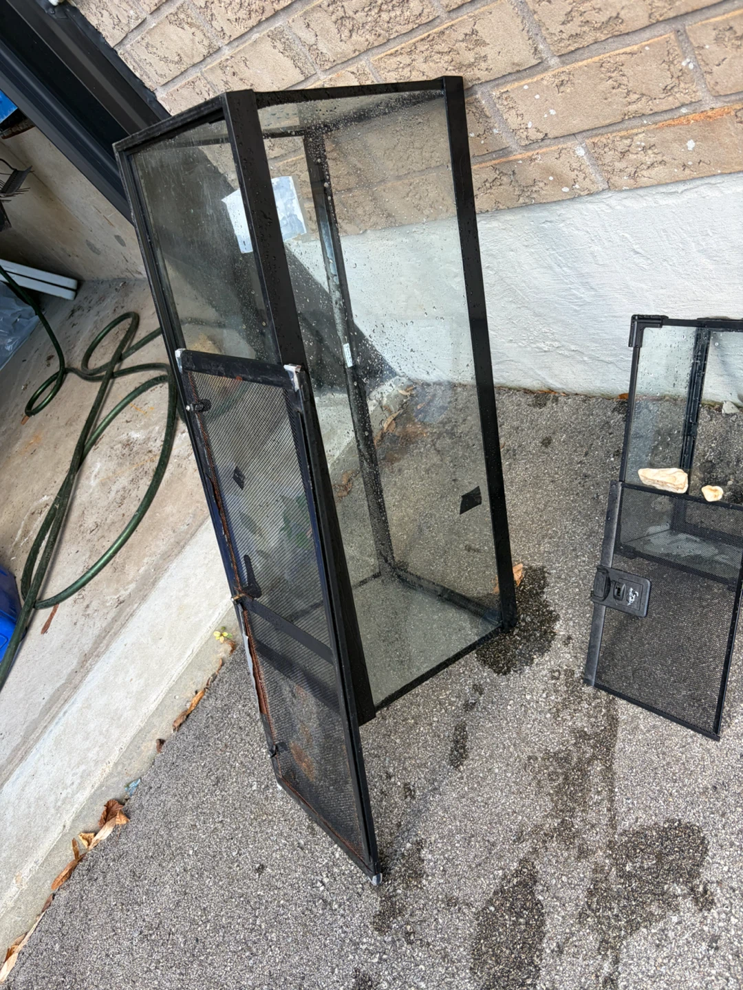 Tall glass terrarium with mesh door
