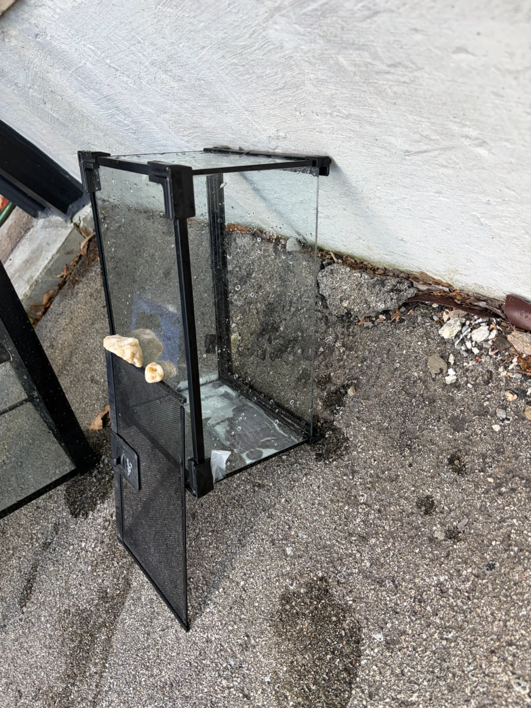 Tall glass terrarium with mesh door - photo 2