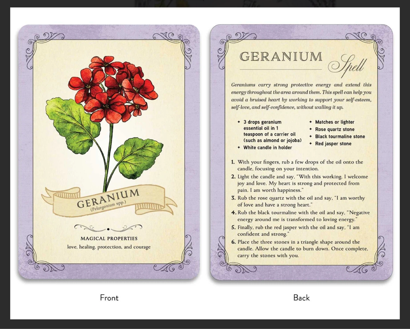NEW✨The Green Witch's Deck of Magical Herbalism - photo 5