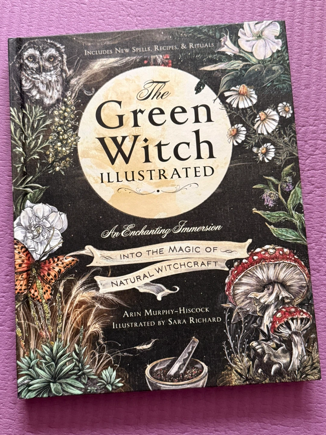 NEW✨The Green Witch Illustrated Book