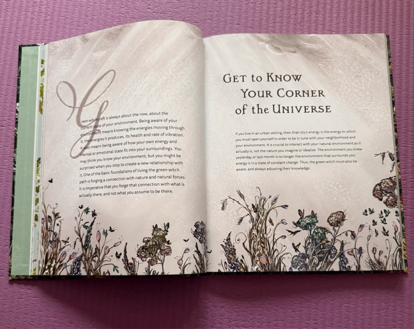 NEW✨The Green Witch Illustrated Book - photo 3