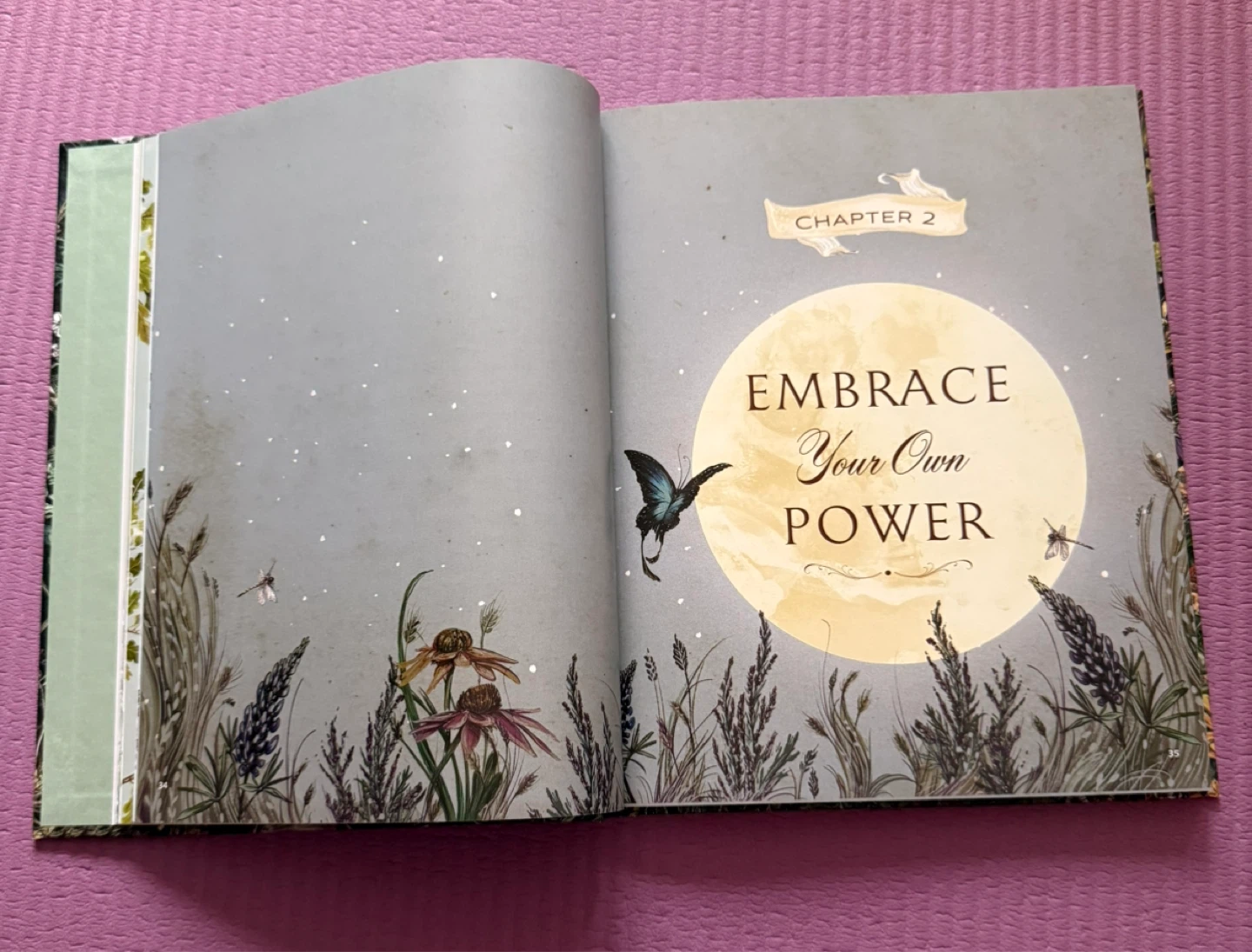 NEW✨The Green Witch Illustrated Book - photo 4