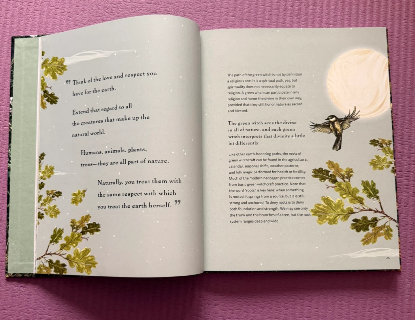 NEW✨The Green Witch Illustrated Book - photo 5